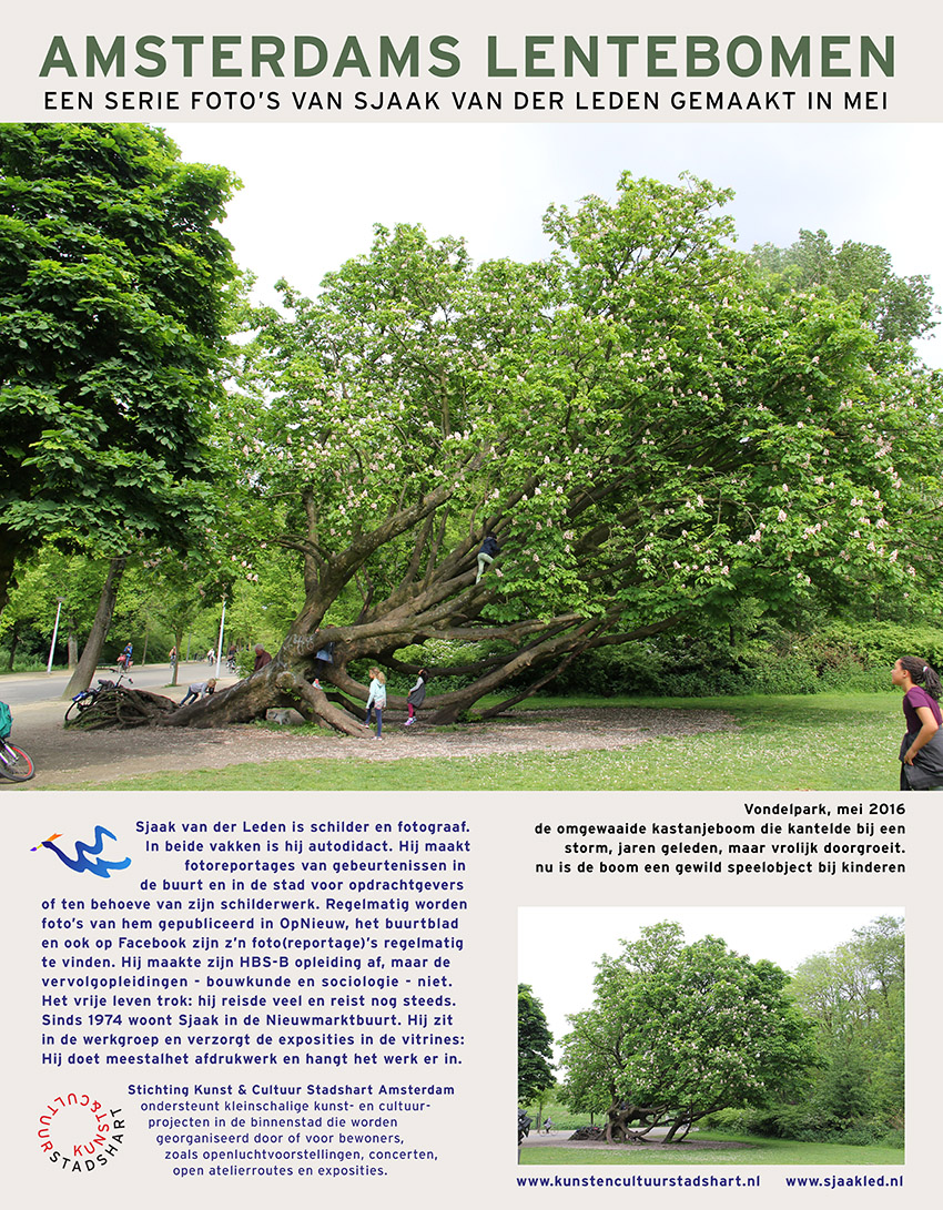 introductieblad AMSTERDAM LENTEBOMEN 2016
