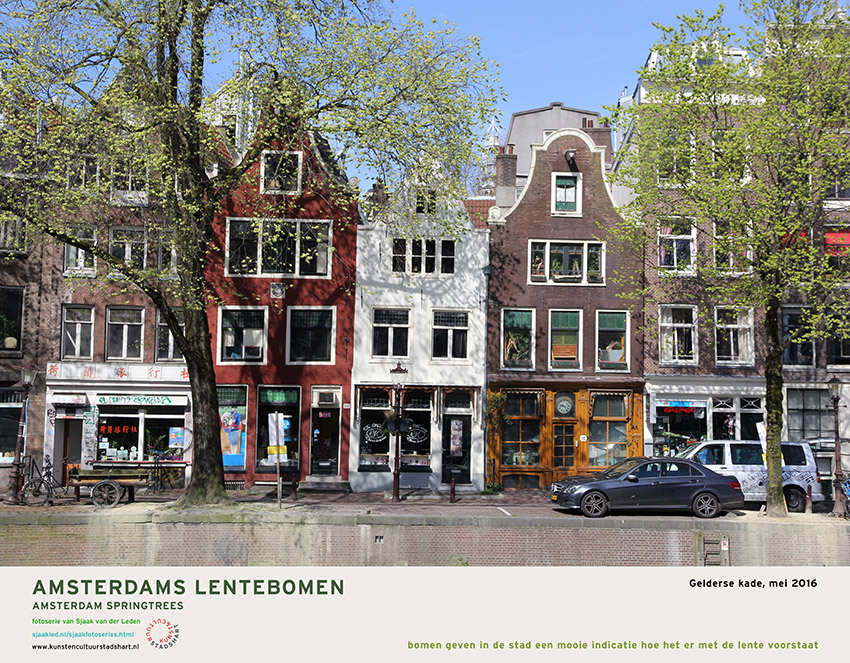 AMSTERDAM LENTEBOMEN 2016