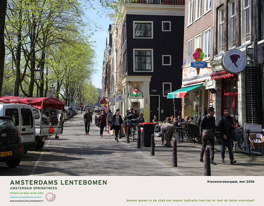 AMSTERDAM LENTEBOMEN 2016