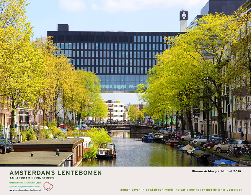 AMSTERDAM LENTEBOMEN 2016