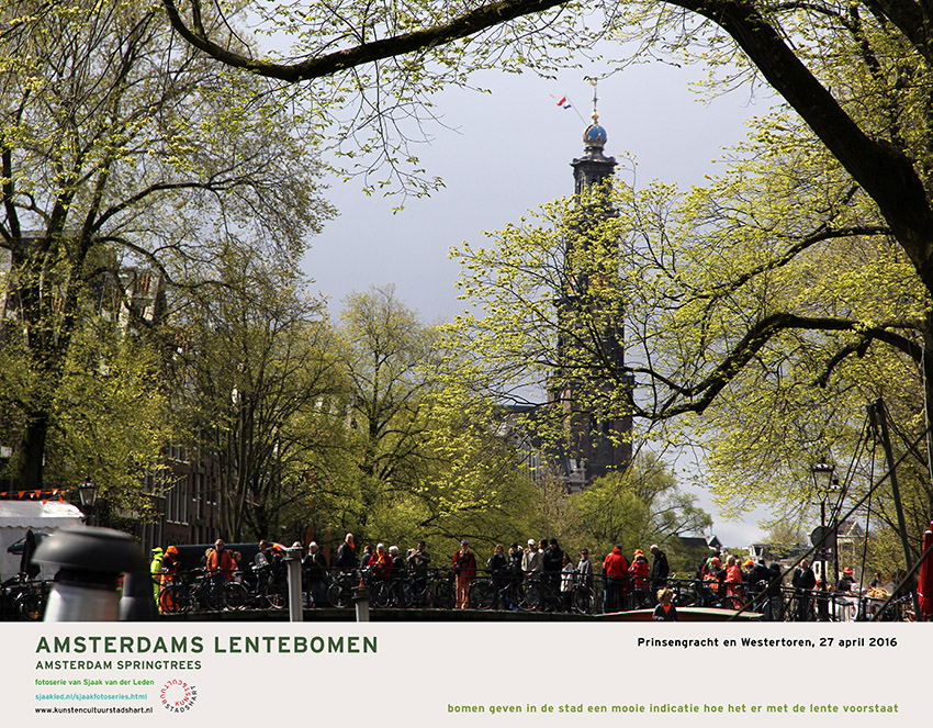 AMSTERDAM LENTEBOMEN 2016