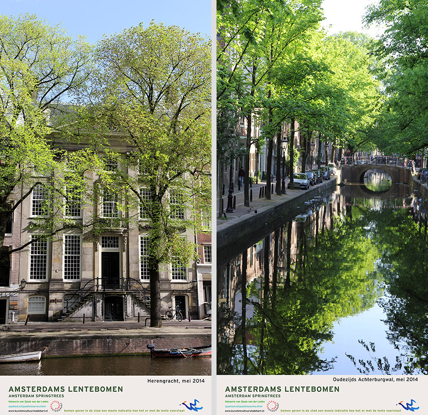 AMSTERDAM LENTEBOMEN 2016