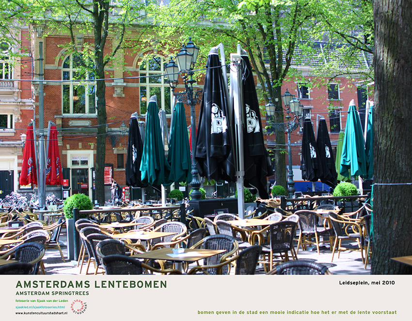 AMSTERDAM LENTEBOMEN 2016