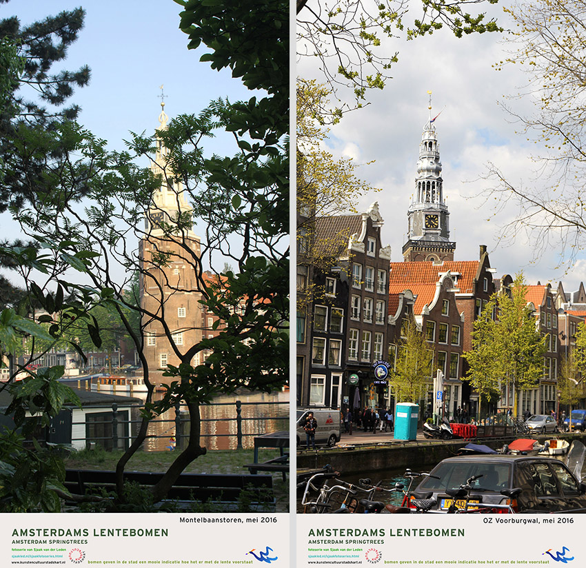 AMSTERDAM LENTEBOMEN 2016