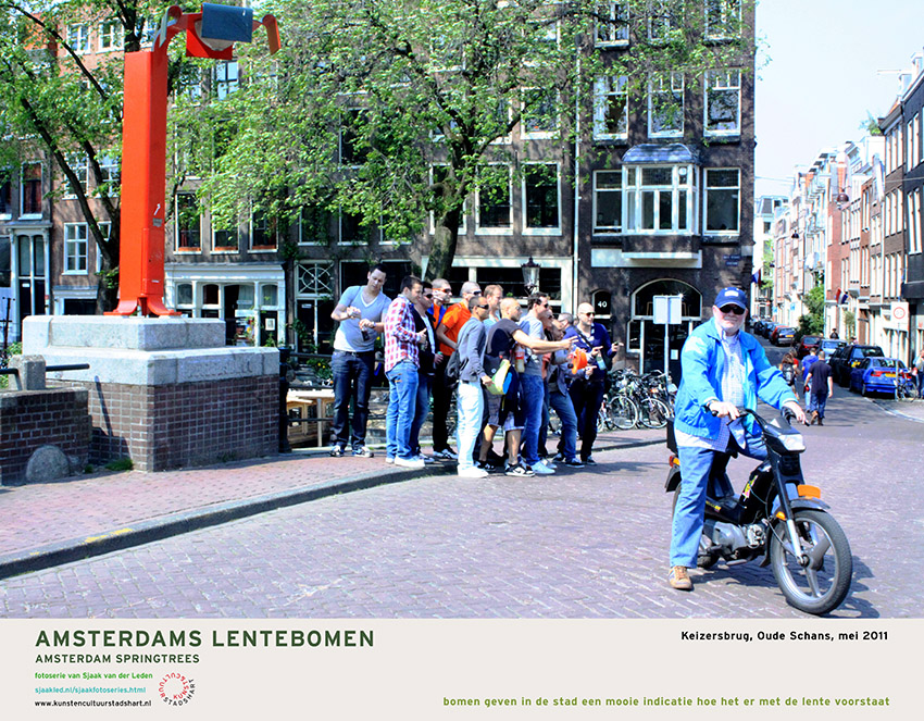 AMSTERDAM LENTEBOMEN 2016