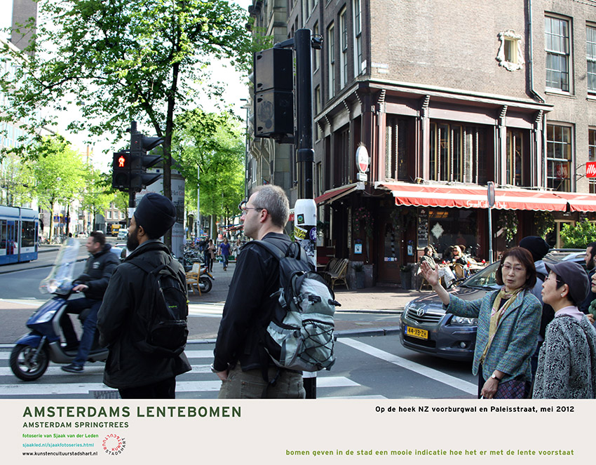 AMSTERDAM LENTEBOMEN 2016