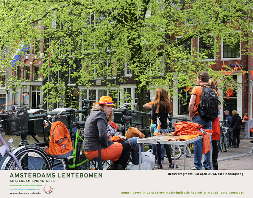 AMSTERDAM LENTEBOMEN 2016