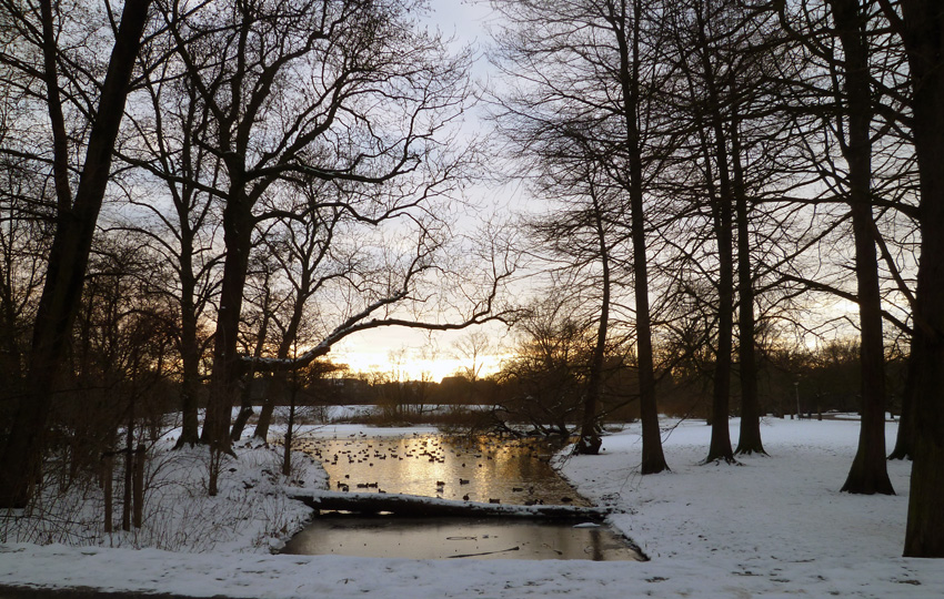 Vondelpark 24 januari 2013