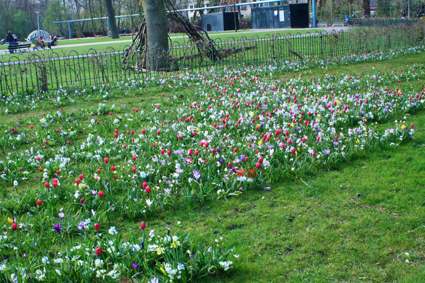 Lente in het Vondelpark