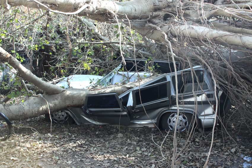 crushed car