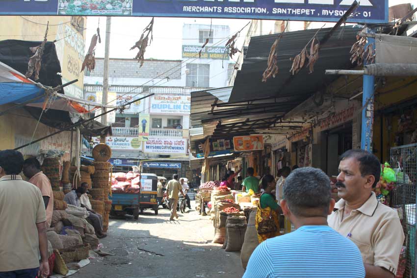 Mysore