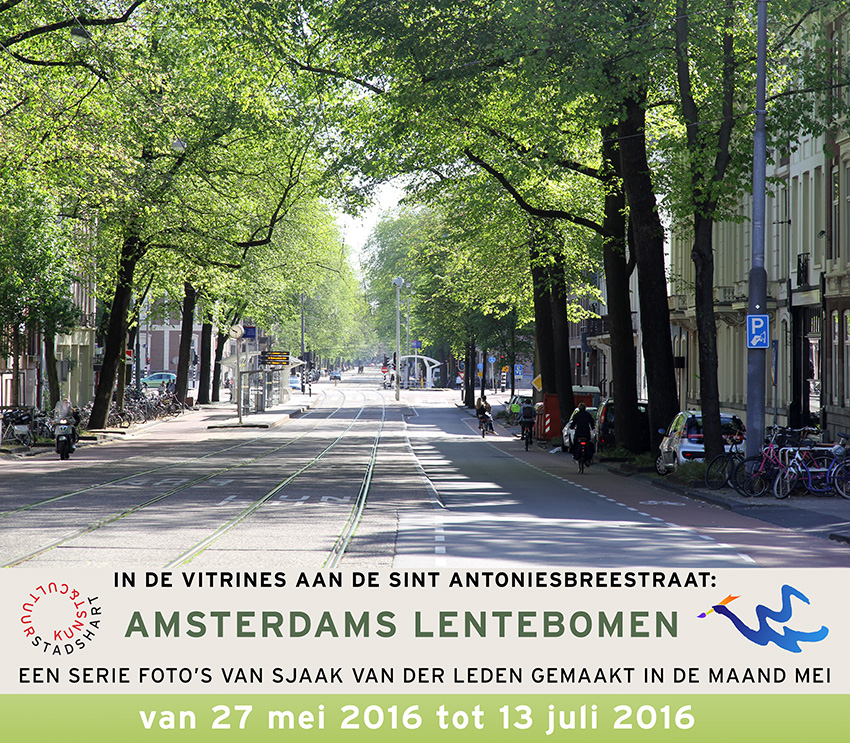 aankondiging van Foto-expositie AMSTERDAM LENTEBOMEN
