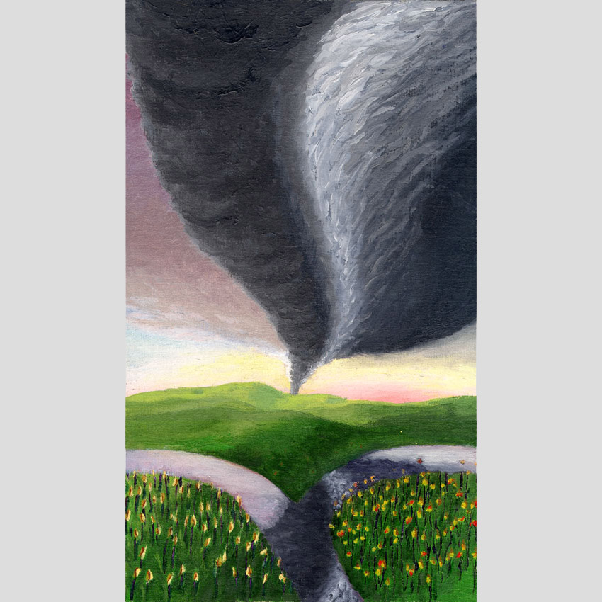 2004 Orkaanlandschap